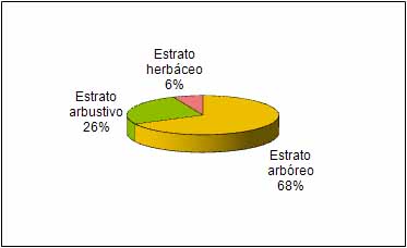 figura 3